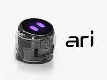 Load image into Gallery viewer, Ari Entry Kit