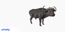 Load image into Gallery viewer, Umety Core