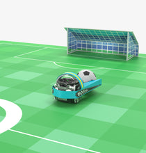 Load image into Gallery viewer, Challenge Mat: Soccer