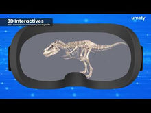 Load and play video in Gallery viewer, UMETY Premium