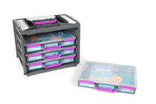 Load image into Gallery viewer, Hummingbird Starter Flock