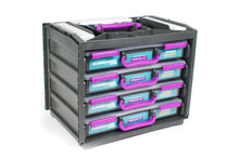 Load image into Gallery viewer, Hummingbird Starter Flock