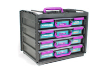 Load image into Gallery viewer, Hummingbird Starter Flock