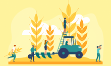 Load image into Gallery viewer, Capstone: Applications of AFNR