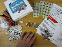 Load image into Gallery viewer, Bristlebot Kit (25 Pack)