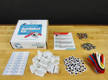 Load image into Gallery viewer, Bristlebot Kit (25 Pack)