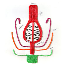 Load image into Gallery viewer, Wikki Stix STEM Pak