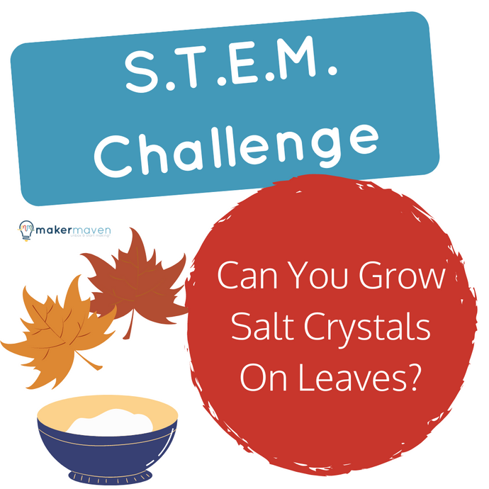 Can You Grow Salt Crystals On Leaves?
