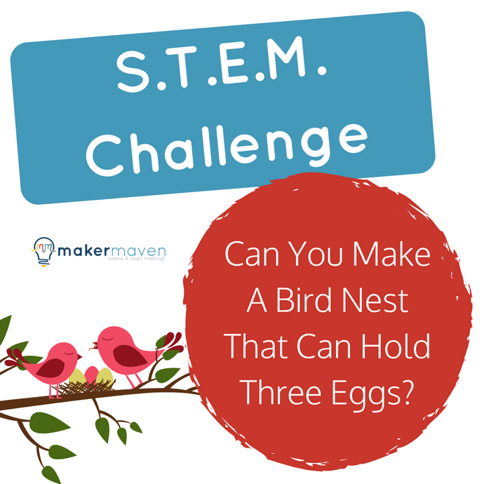 Can You Make A Bird Nest That Can Hold Three Eggs?