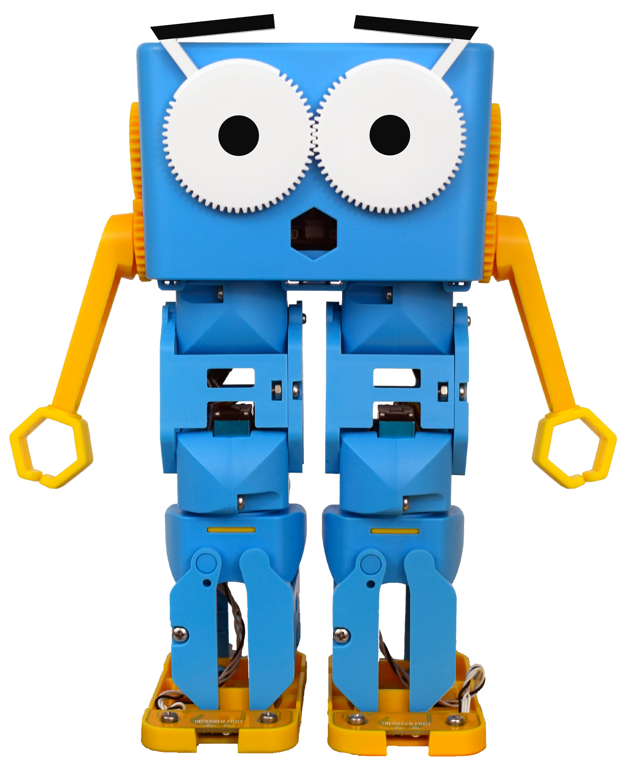 MARTY THE ROBOT – Maker Maven