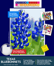 Load image into Gallery viewer, Texas Bluebonnets (Standard Size)
