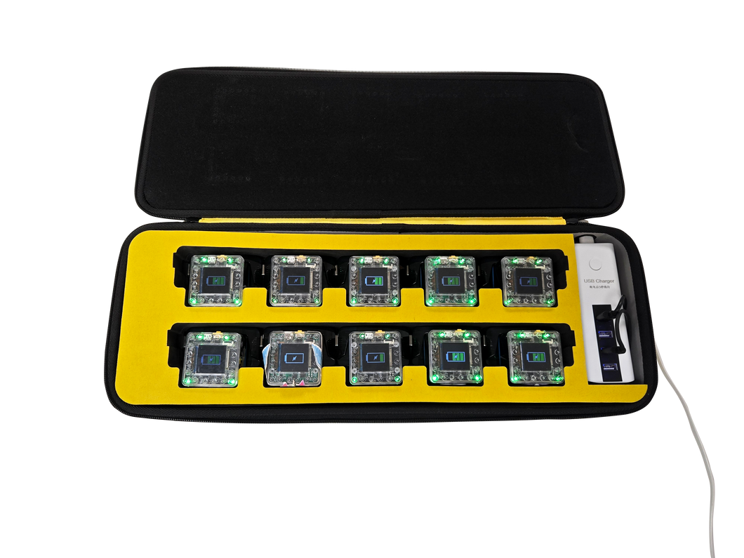 Powered KaiBot Charging Case for 10 bots