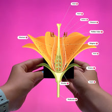 Load image into Gallery viewer, MERGE Cube
